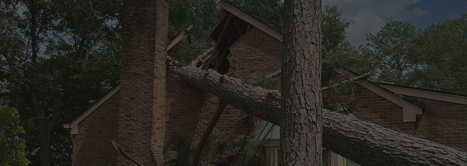 fallen tree on house