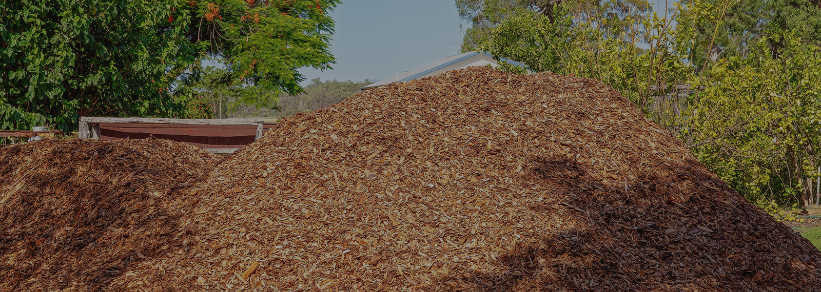 wood chips