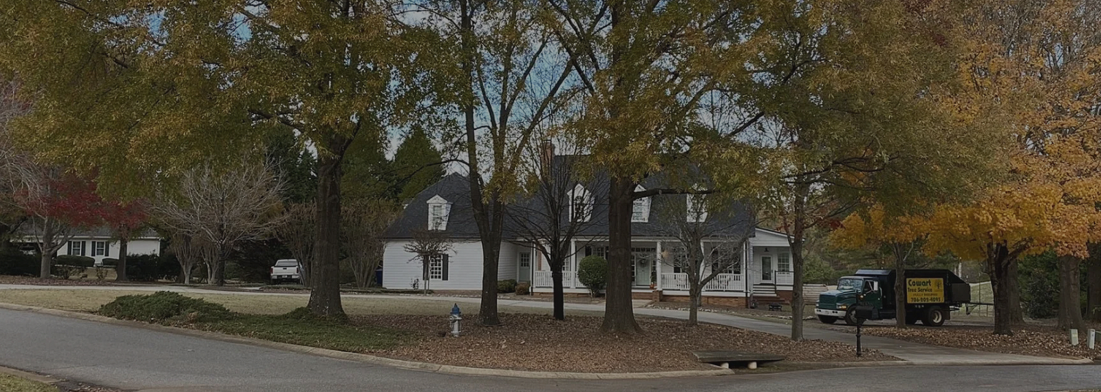 truck in front yard