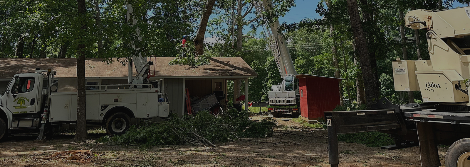 tree pruning
