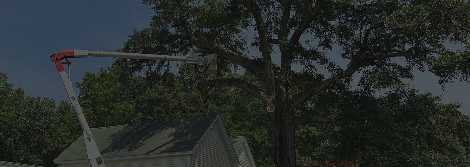 tree pruning