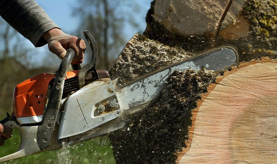 a man using a chainsaw to cut a tree